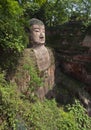 The giant buddah of leshan sichuan province Royalty Free Stock Photo