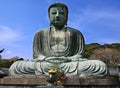 Giant Buddha Royalty Free Stock Photo