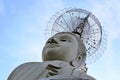 Giant Buddha Royalty Free Stock Photo