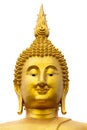 Giant buddha head Royalty Free Stock Photo