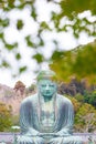 Giant buddha or Kamakura Daibutsu Royalty Free Stock Photo