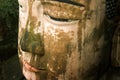 Giant buddha's face in leshan, sichuan, china