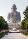 The Giant Buddha Statue and tiny chipmunk. Royalty Free Stock Photo