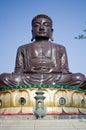 Giant Buddha Royalty Free Stock Photo