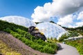 Giant bumble bee sculpture, Eden Project. Royalty Free Stock Photo