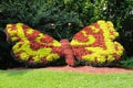 Giant Butterfly Garden Decoration