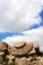 Giant capital of a doric greek temple, Selinunte