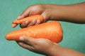 Giant carrot Royalty Free Stock Photo