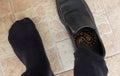 Giant centiped hiding in shoes