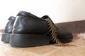 Giant centiped hiding in shoes