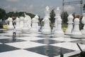 Giant chess