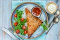 Chicken samosas with mango chutney and fresh salad Royalty Free Stock Photo