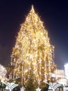 Giant christmas tree