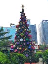 Giant christmas tree in the city