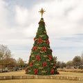 Giant Christmas tree in Wayne Ferguson Plaza in the City of Lewisville, Texas.