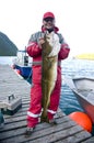 Giant cod Royalty Free Stock Photo