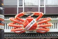 A Giant crab in front of Japanese restaurant