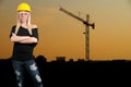 Giant Crane Royalty Free Stock Photo