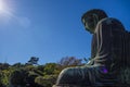 Giant Daibutsu stands on Kotokuin Temple , Location Kamakura