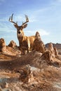 Giant deer in a desert