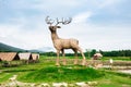 Giant deer shaped straw straw puppet