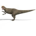 Giant Dinosaur Allosaurus With Clipping Path over Royalty Free Stock Photo