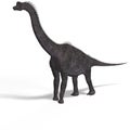 Giant dinosaur brachiosaurus With Clipping Path