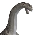 Giant dinosaur camasaurus With Clipping Path over Royalty Free Stock Photo