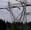 Electrical Transmission Lines