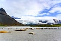 Elephant seals lying in beautiful landscape of South Georgia in front of king penguins with glacier in background Royalty Free Stock Photo