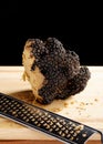 Giant and expensive rare black truffle