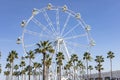 Giant Ferris Wheel Panoramic viewpoint between palm trees in Puerto Marina, Benalmadena, Malaga Royalty Free Stock Photo