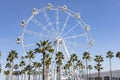 Giant Ferris Wheel Panoramic viewpoint between palm trees in Puerto Marina, Benalmadena, Malaga Royalty Free Stock Photo