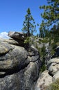 Giant Fissures in Rock, Taft Point, Yosemite National Park, California, United States