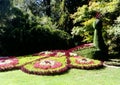 Giant flower bird