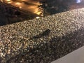 Giant Fly Sitting on the Hotel Balcony Ledge