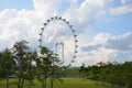 Giant flywheel infront of beautiful garden