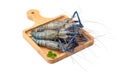 Giant freshwater prawn, Fresh shrimp on wooden plate isolate on white background Royalty Free Stock Photo