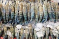 Giant freshwater prawn with ice in thai market