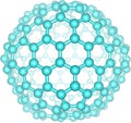 Giant fullerene molecule C240