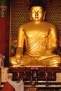 Giant Gold Buddha