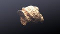 Giant gold nugget