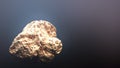Giant gold nugget