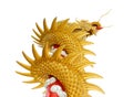 Giant golden Chinese dragon on isolate white background Royalty Free Stock Photo