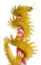 Giant golden Chinese dragon on isolate white background Royalty Free Stock Photo