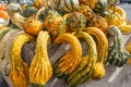 Jumbo Gourds at Farmer\'s Market Royalty Free Stock Photo