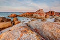 Giant granite rock boulders covered in orange and red lichen at the Bay of Fires in Tasmania, Australia Royalty Free Stock Photo