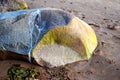 Giant gray stone on a wet sandy beach