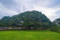 Giant green Samanea saman tree with branch in national park garden, Kanchanaburi district, Thailand. Natural landscape background