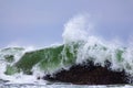 Giant green wave crashing on seaweed covered boulder Royalty Free Stock Photo